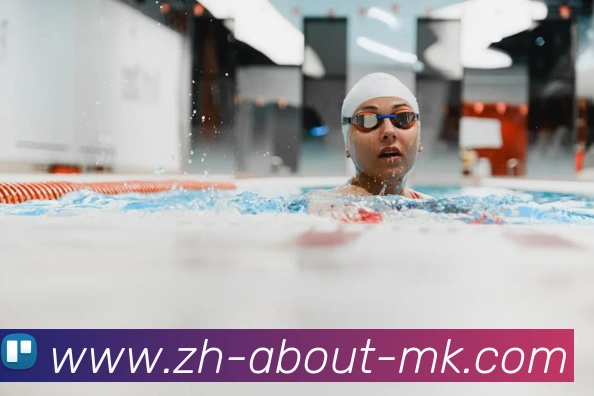 MK体育平台生态图