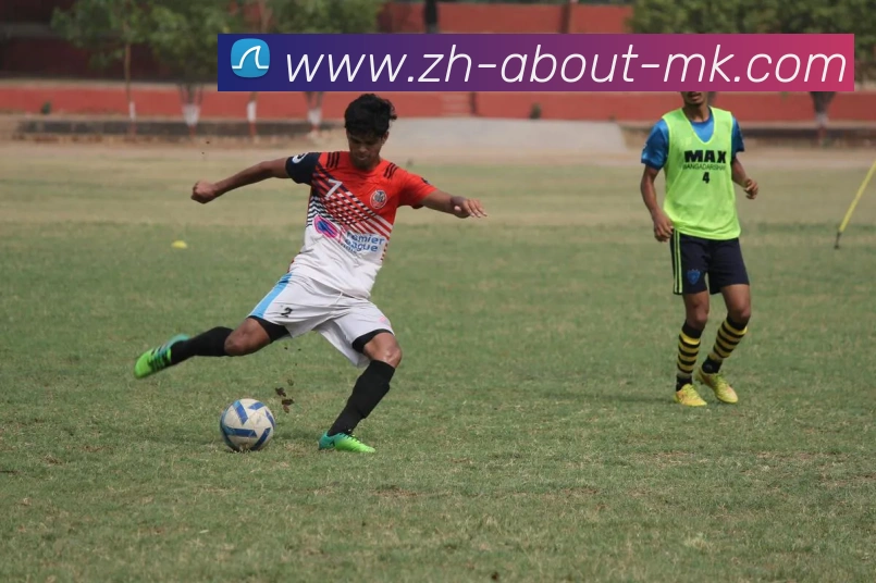 MK体育APP 封面图