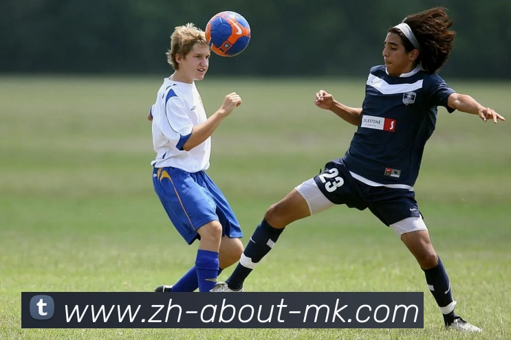 数据防护可视化